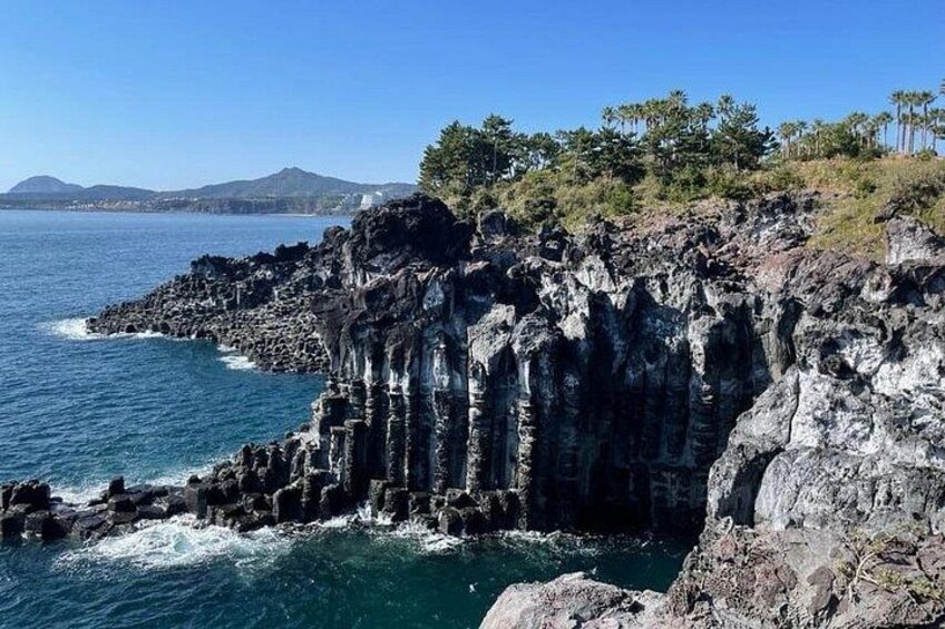 Jeju Southern UNESCO Full Day Tour with Mt.Halla 4