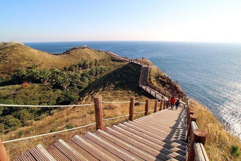 Jeju Southern UNESCO Full Day Tour with Mt.Halla 2