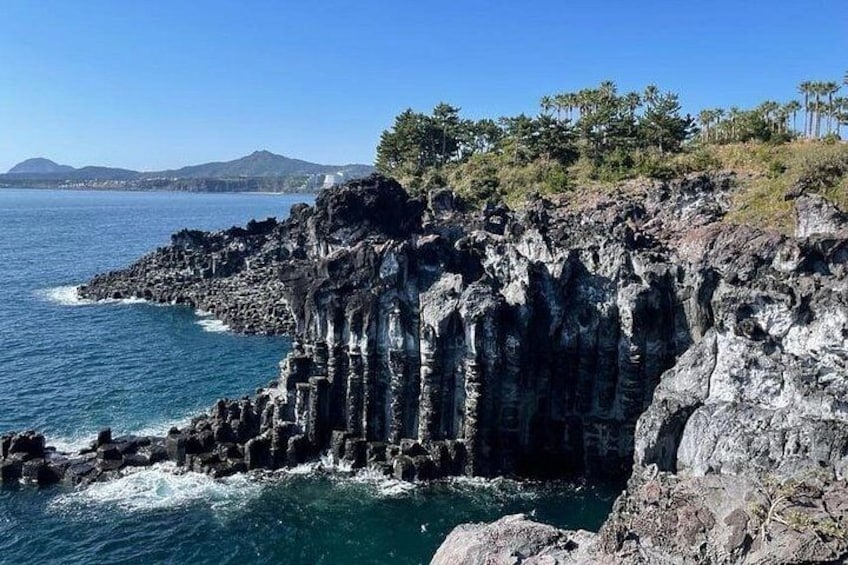 Jeju Southern UNESCO Full Day Tour with Mt.Halla 4