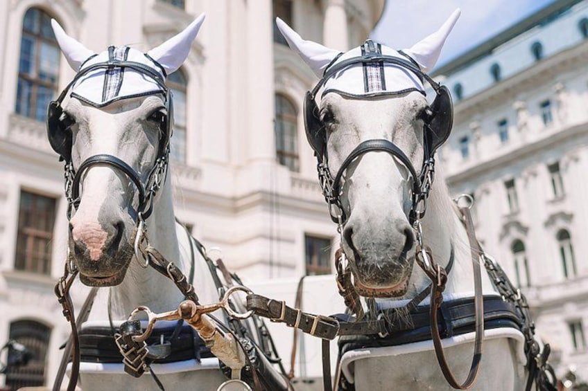 Vienna's Hidden Gems: A Self-Guided Imperial Adventure 4