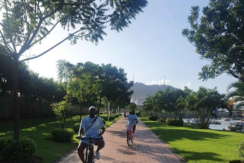 Two people riding bicycles on a paved path surrounded by greenery and palm trees, with a body of water and boats in the background. 3