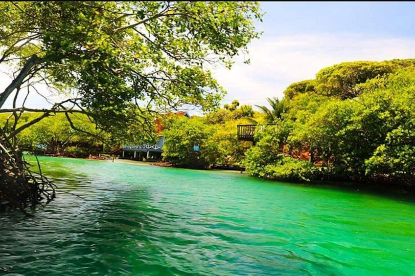 A river with clear water, surrounded by lush greenery and a gazebo. 3