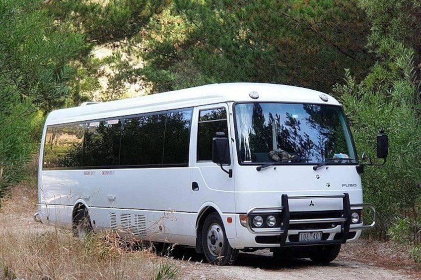 Our Buses Ride in comfort and style with our modern buses, designed for a seamless and enjoyable journey. 1