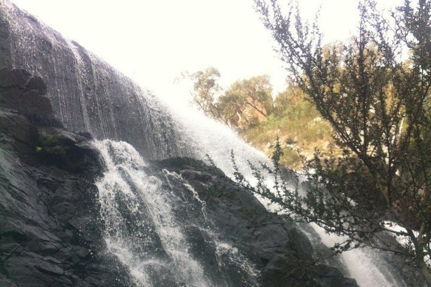 Perfect for capturing photos of the dramatic waterfall and lush backdrop. 3