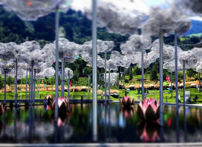 A garden with rows of white umbrellas and lotus flowers. 3