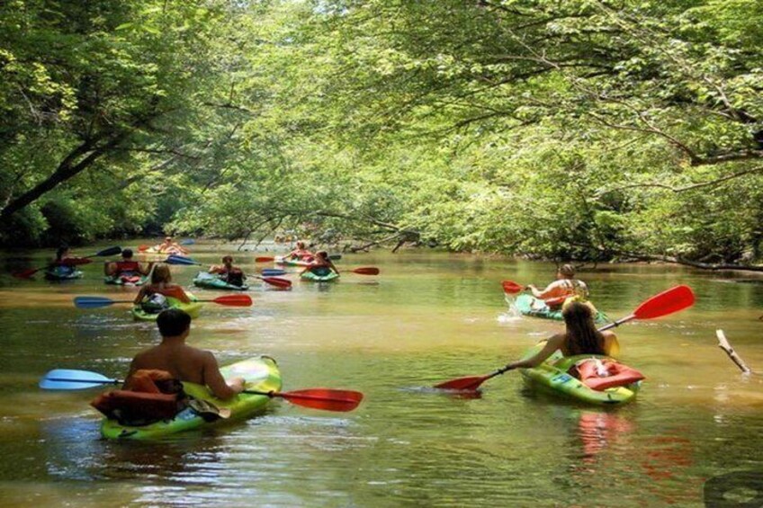 People kayaking on a river surrounded by dense green foliage. 1