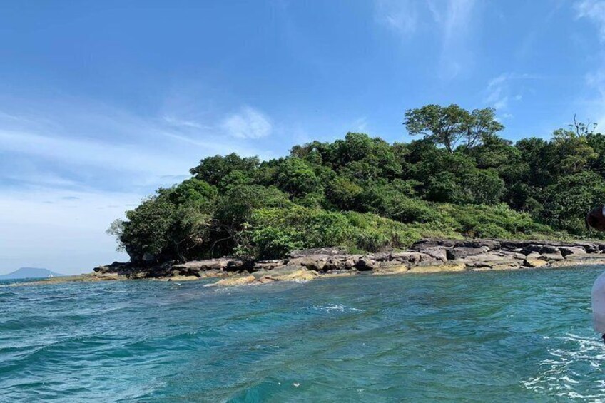 A rocky coastline with dense green foliage and clear blue waters. 5