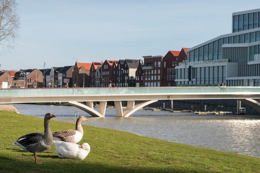 A Self-Guided Nordic Exploration in Copenhagen's Hidden Hygge 3