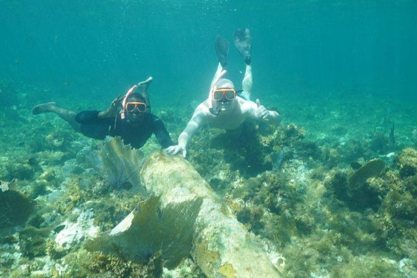 Due subacquei sott'acqua con un pesce di grandi dimensioni in primo piano. 3