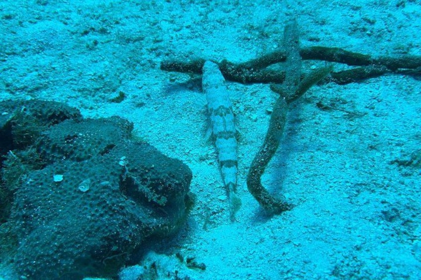 A submerged wreck with a large, rusted metal structure and a ship's wheel. 2
