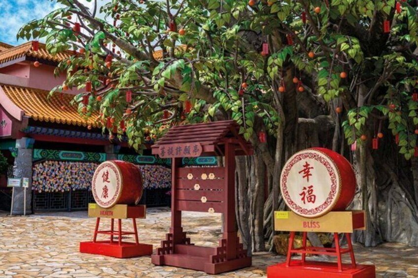 HK: Luxury Lantau Tour with Cable Car, Tai O boat, hotel pick up 2