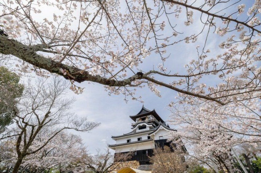 Nagoya Tour in Inuyama Castle, Ena George, Magome and Tsumagojuku 3