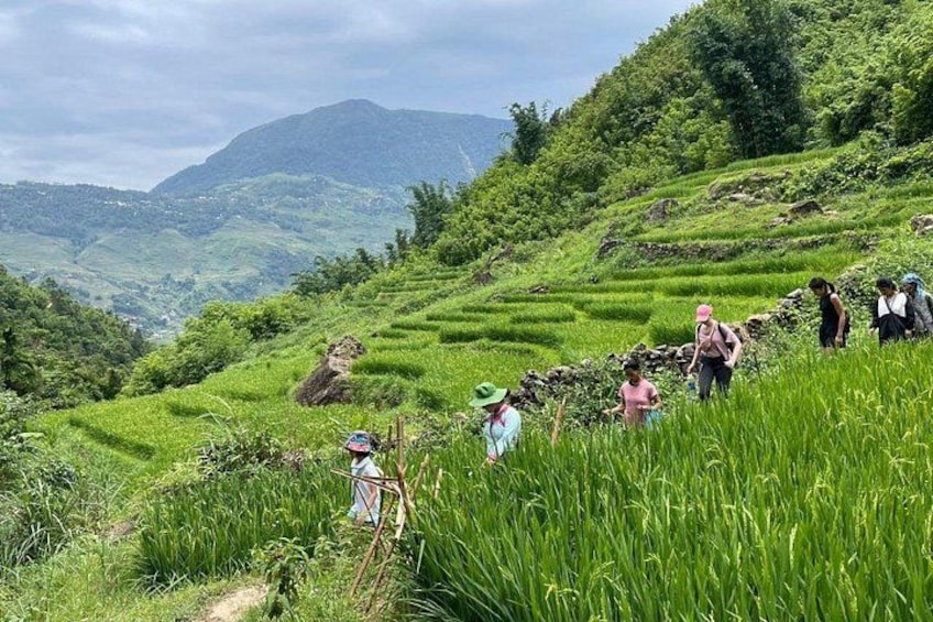 Sapa Trekking & Cooking with H’Mong Locals –Local Culture 5