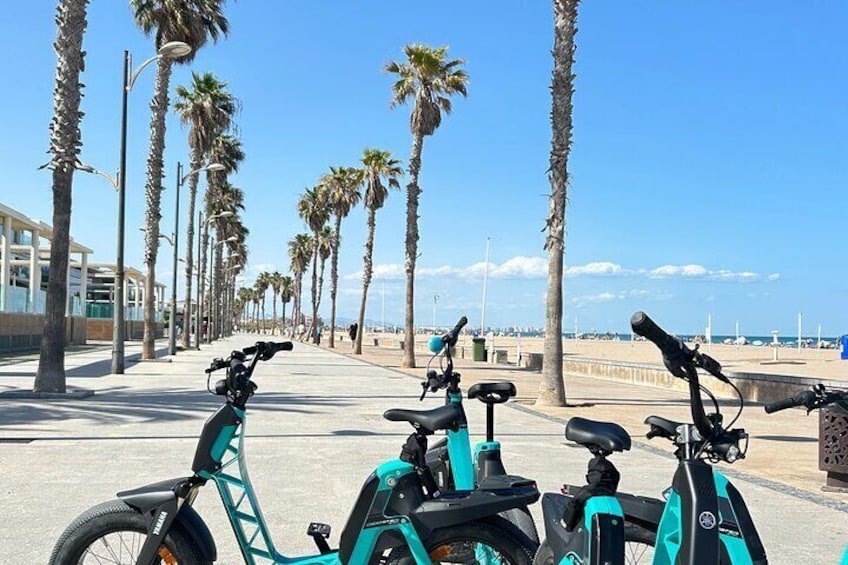 Una hilera de scooters eléctricos estacionados a lo largo de un paseo marítimo bordeado de palmeras, con una playa al fondo. 1