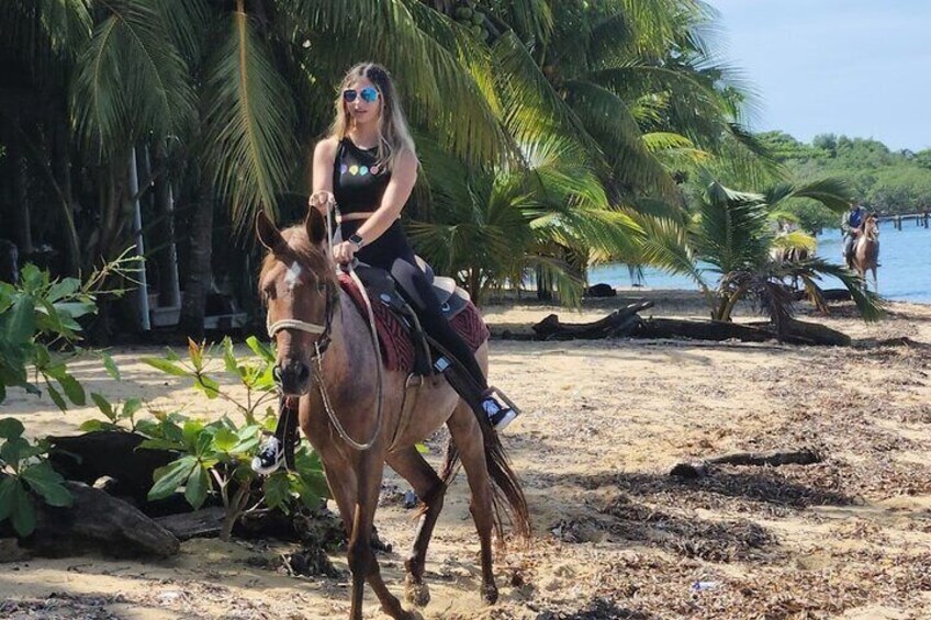 A person riding a horse on a sandy beach with palm trees and a body of water in the background. 1