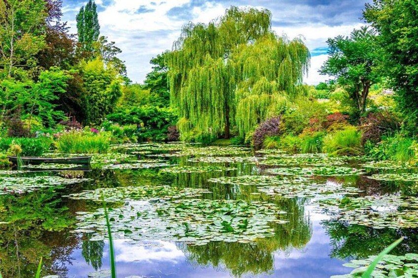 A pond with lily pads, a weeping willow tree, and various greenery. 4