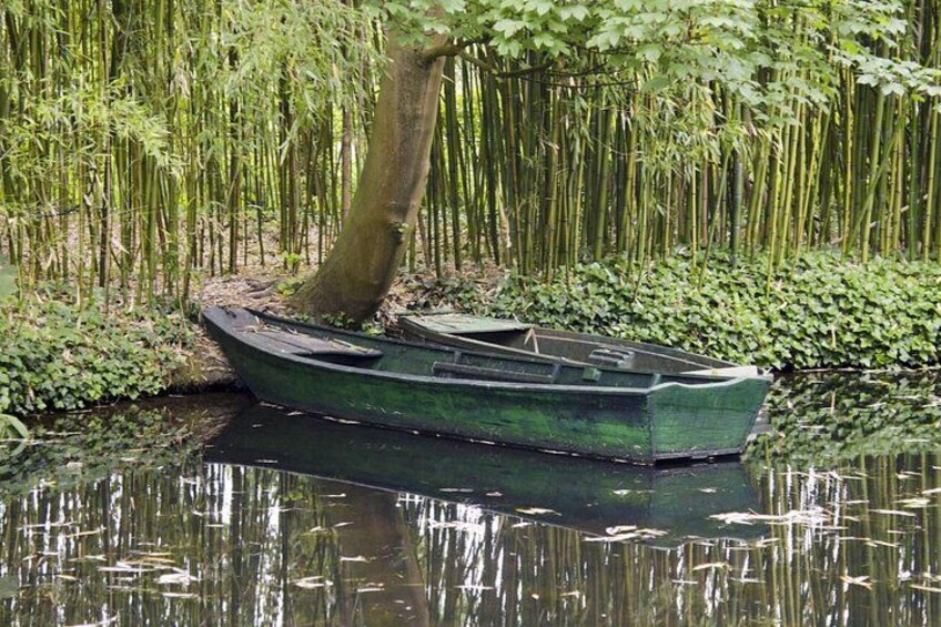 A green boat tied to a tree in a water body surrounded by dense vegetation. 3