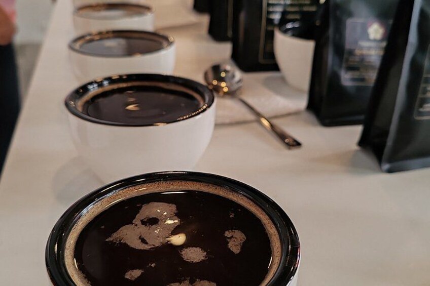 Panama Crafted Geisha Coffee Tasting Experience 2