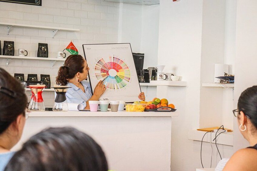 Panama Crafted Geisha Coffee Tasting Experience 3