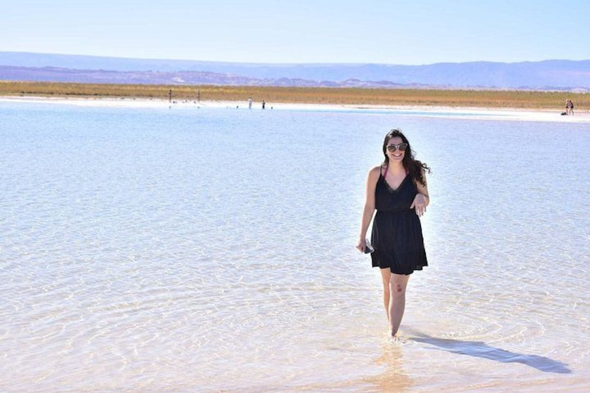 Cejar Eyes of the Salt Lake and Tebenquiche Lake Tour 1
