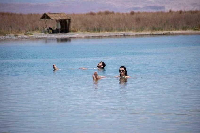 Cejar Eyes of the Salt Lake and Tebenquiche Lake Tour 2