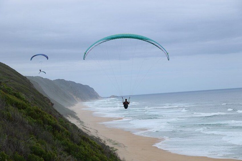 Soaring like gulls above the Sea 4