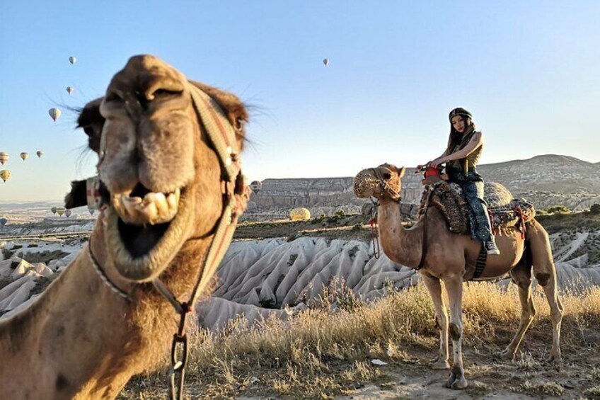 Un camello con un jinete en un paisaje desértico con colinas al fondo. 3