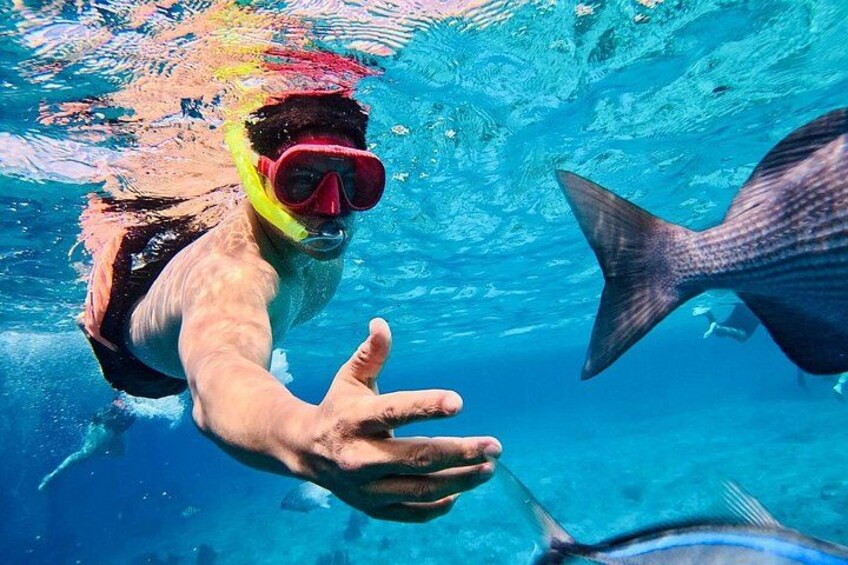 Snorkeling Turtle Encounter & Beach Club in Costa Maya 2