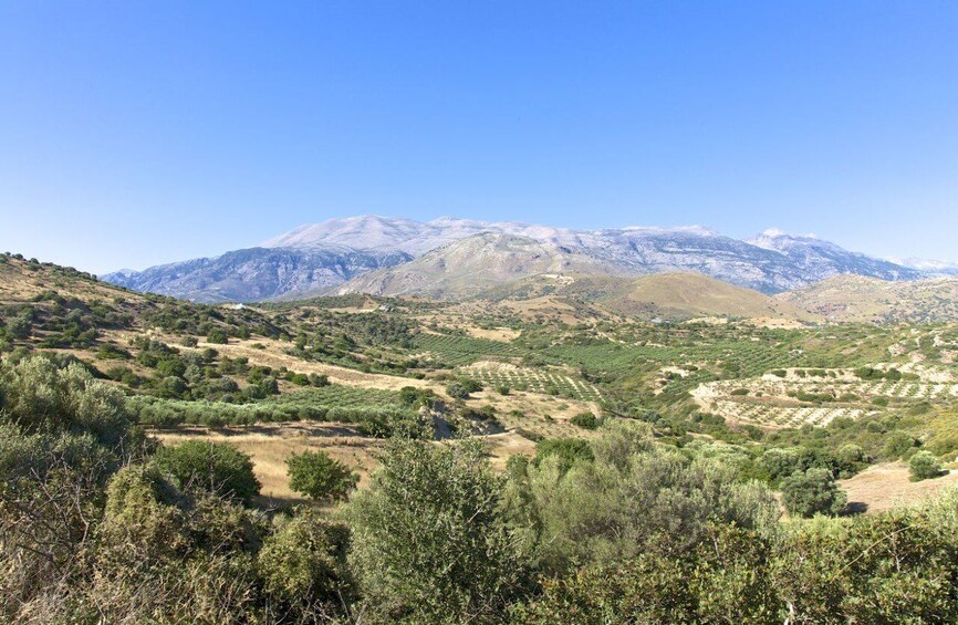 Picture 4 for Activity Private Tour From Rethymno Sfendoni Cave & Psiloritis Trip 4