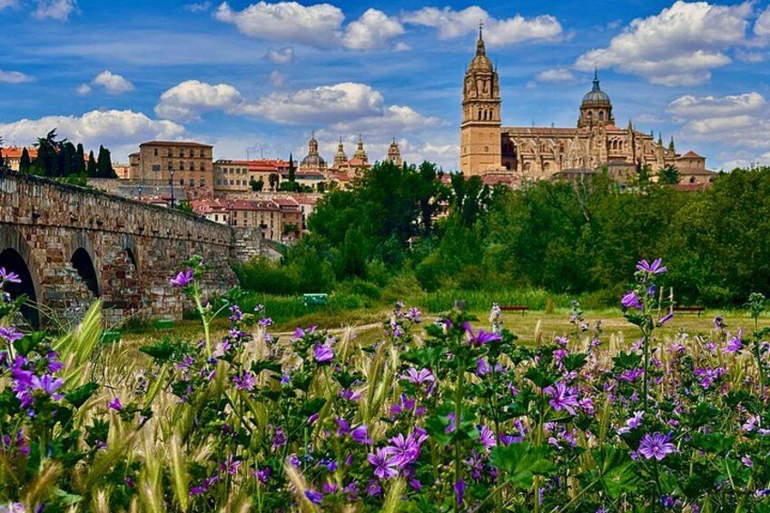 A historic bridge, a field of purple flowers, and a large cathedral in the background. 2