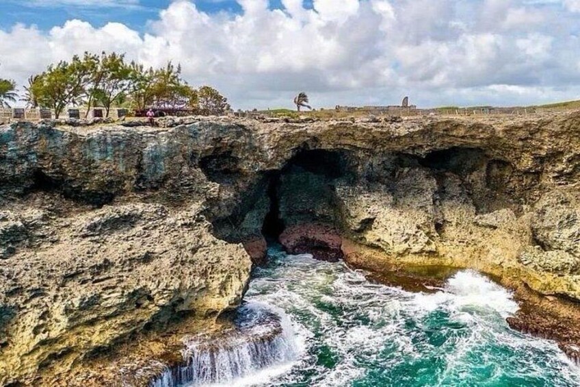 Lunch At Animal Flower Cave with Scenic Drive of Barbados 4