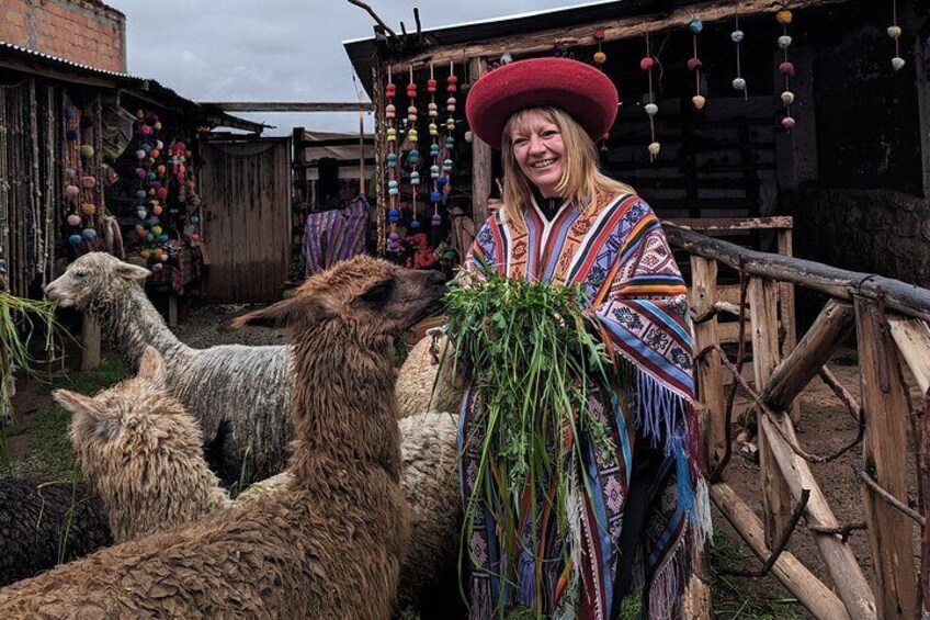 A person with llamas in a rustic setting with wooden structures and colorful decorations. 1