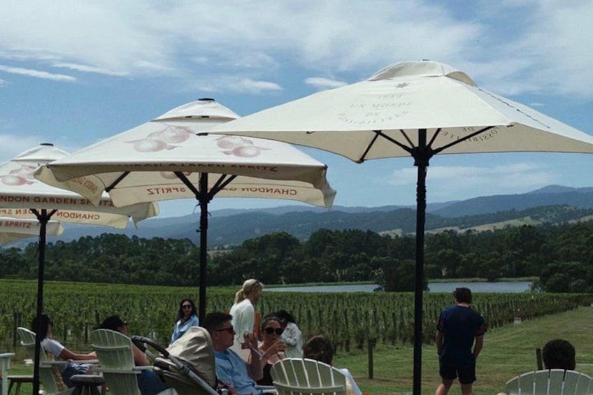 Yering Winery + LV Chandon Winery + Puffing Billy Steam Train 1