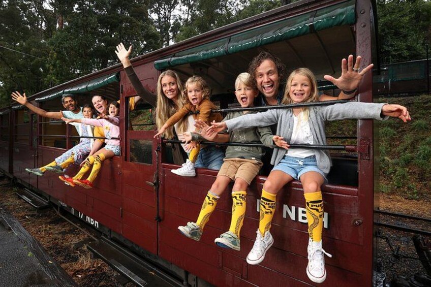 Yering Winery + LV Chandon Winery + Puffing Billy Steam Train 2