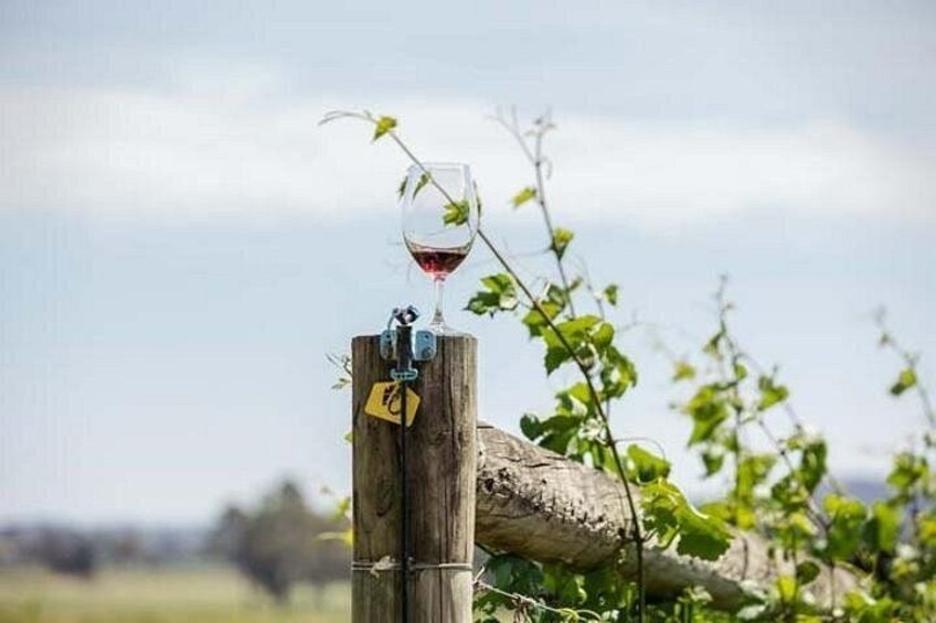 Yering Winery + LV Chandon Winery + Puffing Billy Steam Train 2
