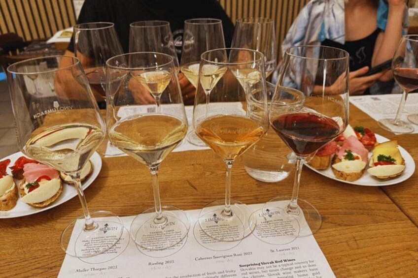 Bratislava Wine Tasting in City Center 1