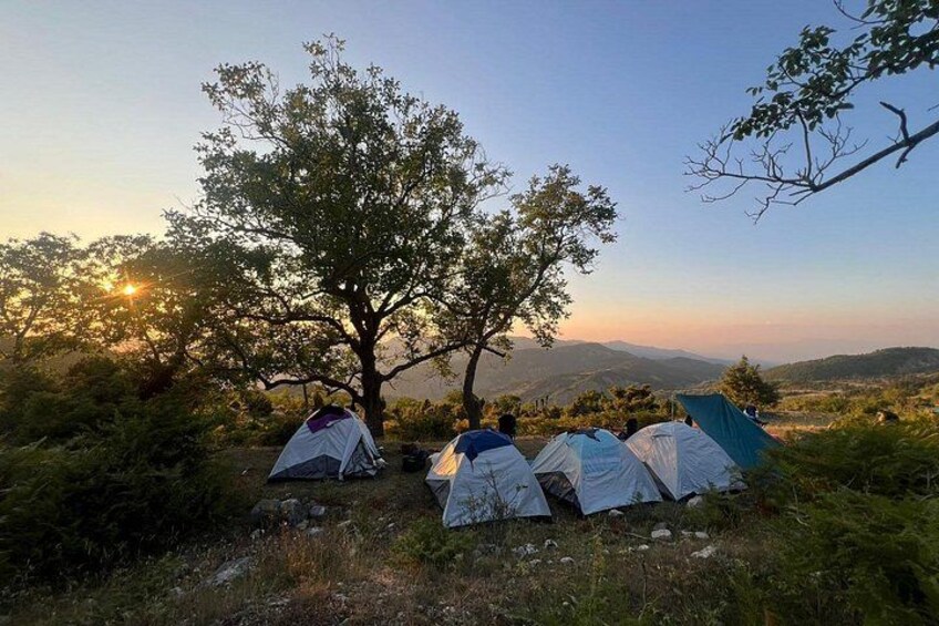 A campsite with tents and a tree in a hilly landscape during sunset. 1