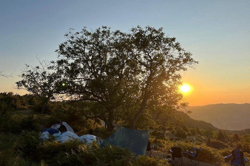 A sunset with a tree and tents in a grassy area. 5