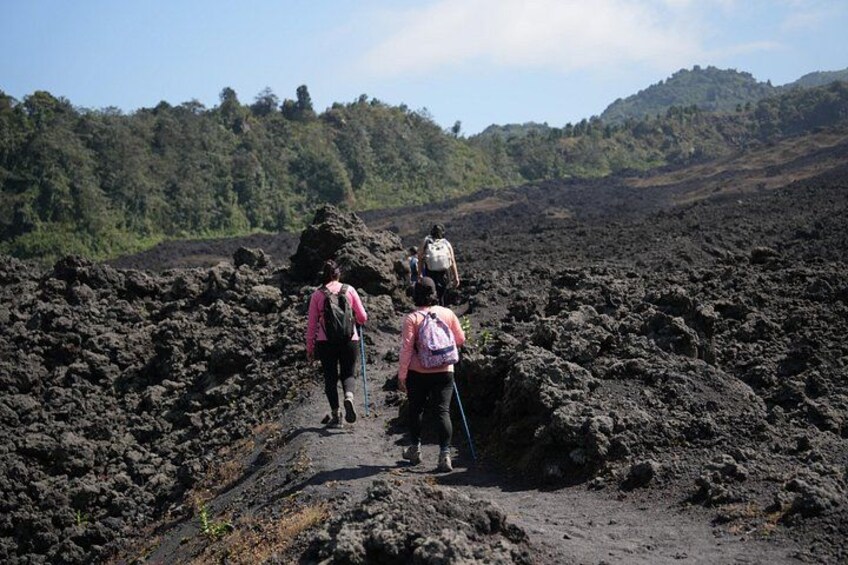 Private Tour Pacaya Volcano 1
