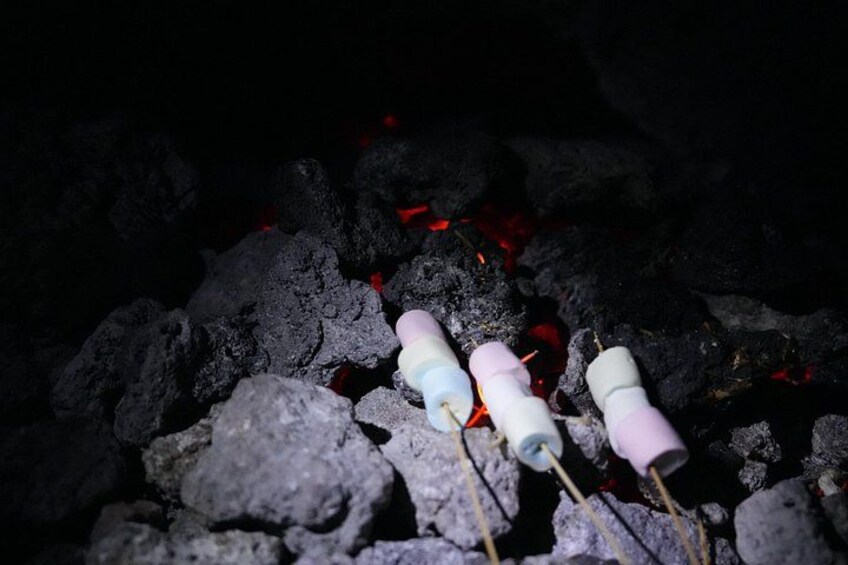 Private Tour Pacaya Volcano 5