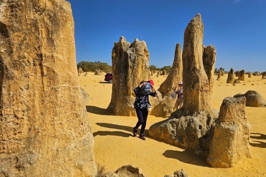 Private Pinnacle Day-Tour; Pinnacles,lobster shack & Lancelin 2