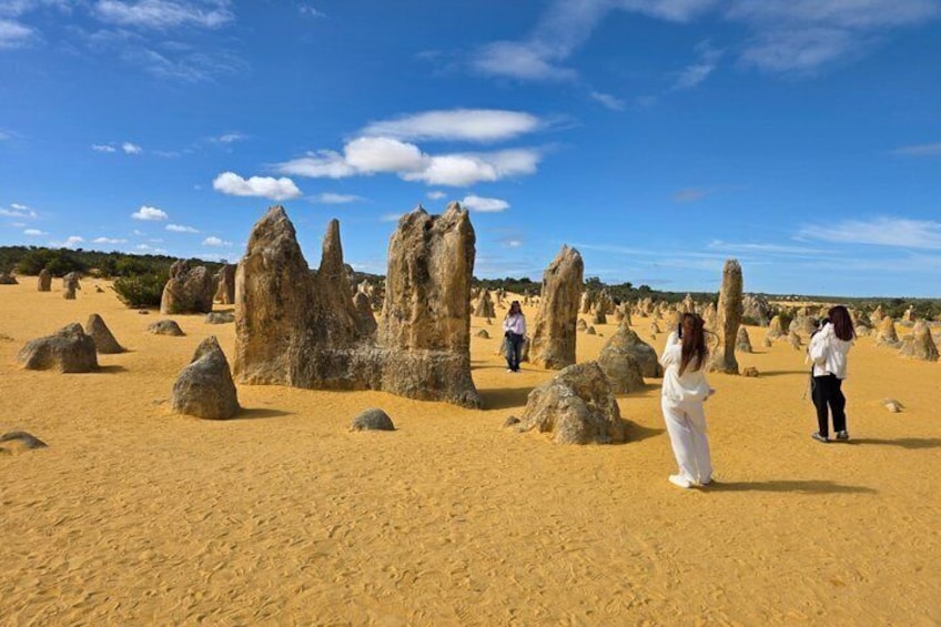 Private Pinnacle Day-Tour; Pinnacles,lobster shack & Lancelin 3