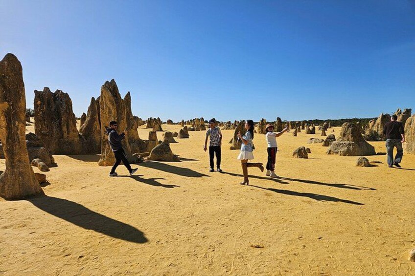 Private Pinnacle Day-Tour; Pinnacles,lobster shack & Lancelin 1