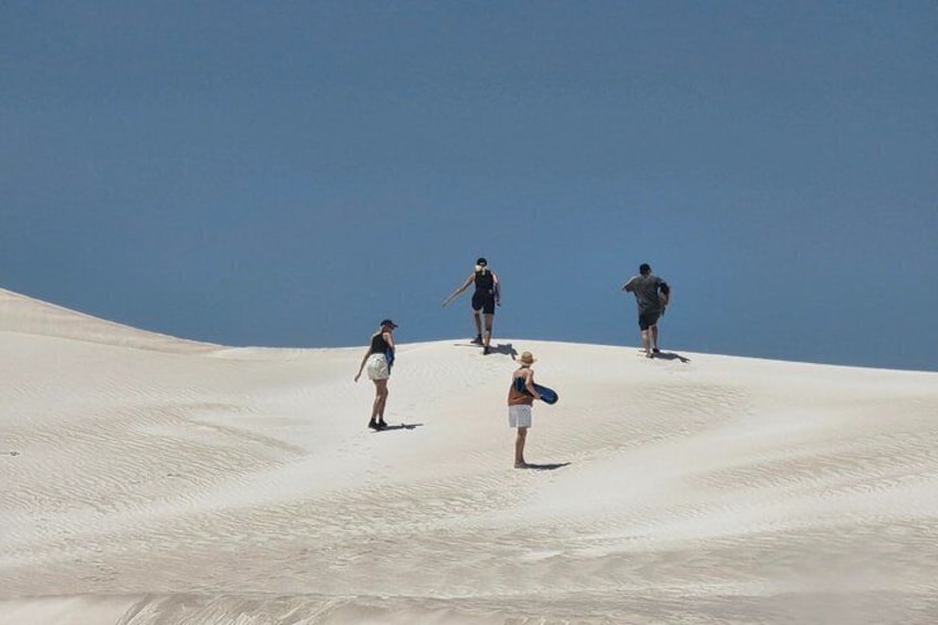 Private Pinnacle Day-Tour; Pinnacles,lobster shack & Lancelin 4