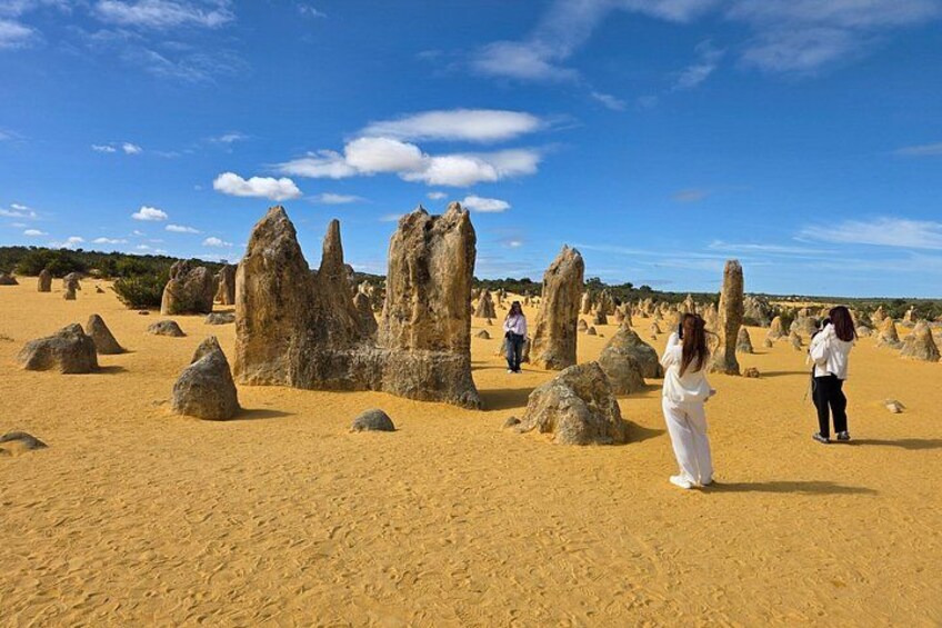 Private Pinnacle Day-Tour; Pinnacles,lobster shack & Lancelin 3