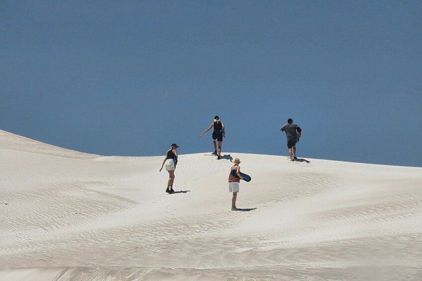 Private Pinnacle Day-Tour; Pinnacles,lobster shack & Lancelin 4