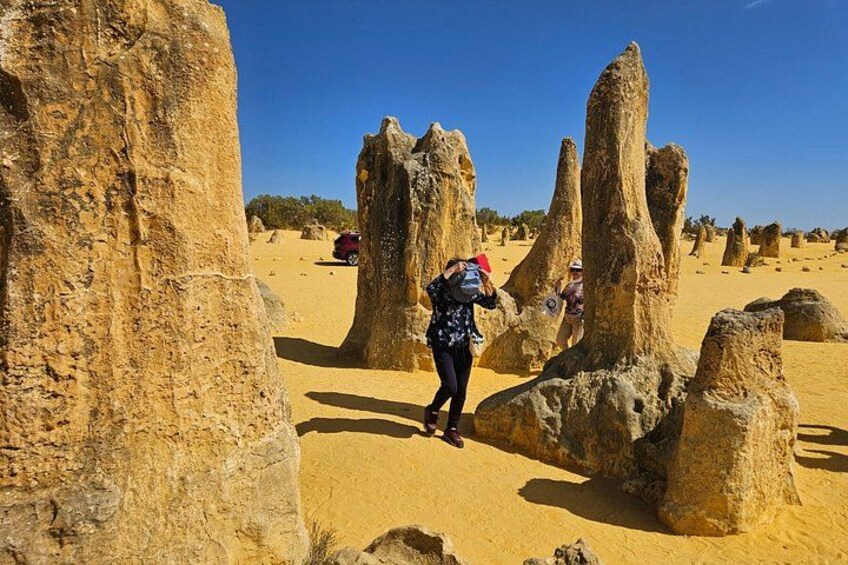 Private Pinnacle Day-Tour; Pinnacles,lobster shack & Lancelin 2