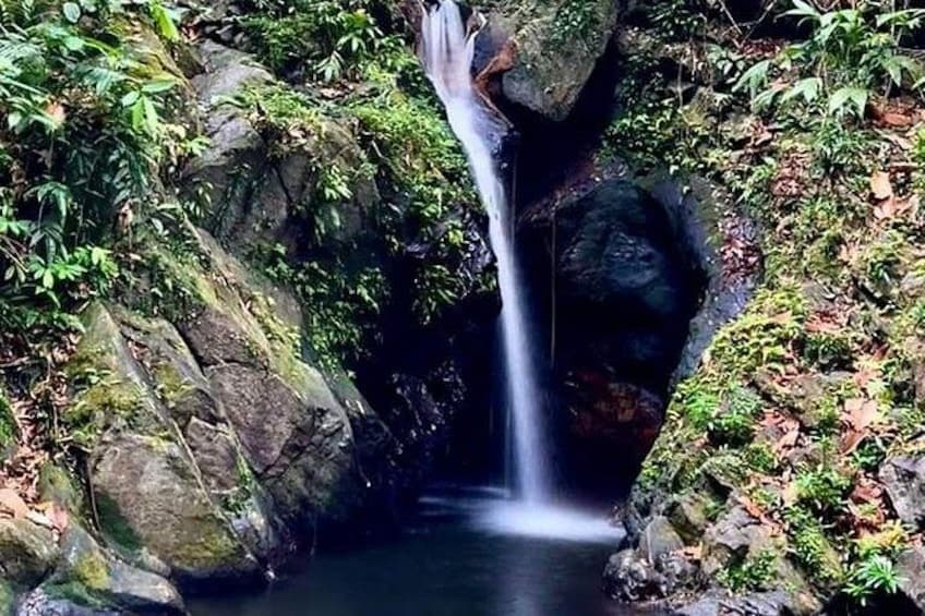 Een waterval die over rotsen stroomt in een bebost gebied. 1
