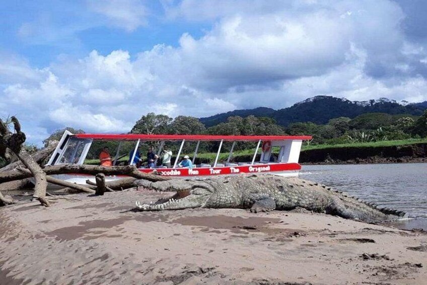 Un bateau sur la rive d’une rivière, avec une chaîne de montagnes en arrière-plan. 1