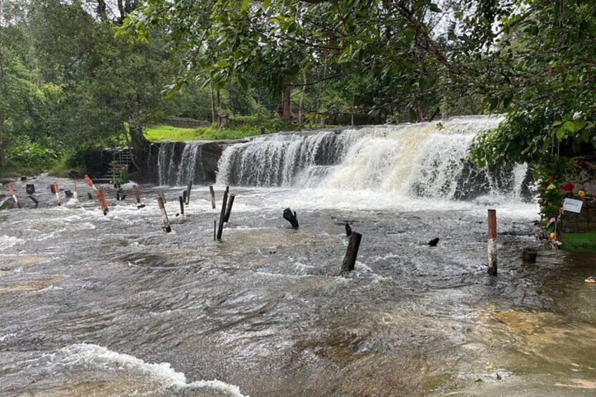 Une cascade située dans une zone boisée, avec des poteaux en bois dans l’eau. 1